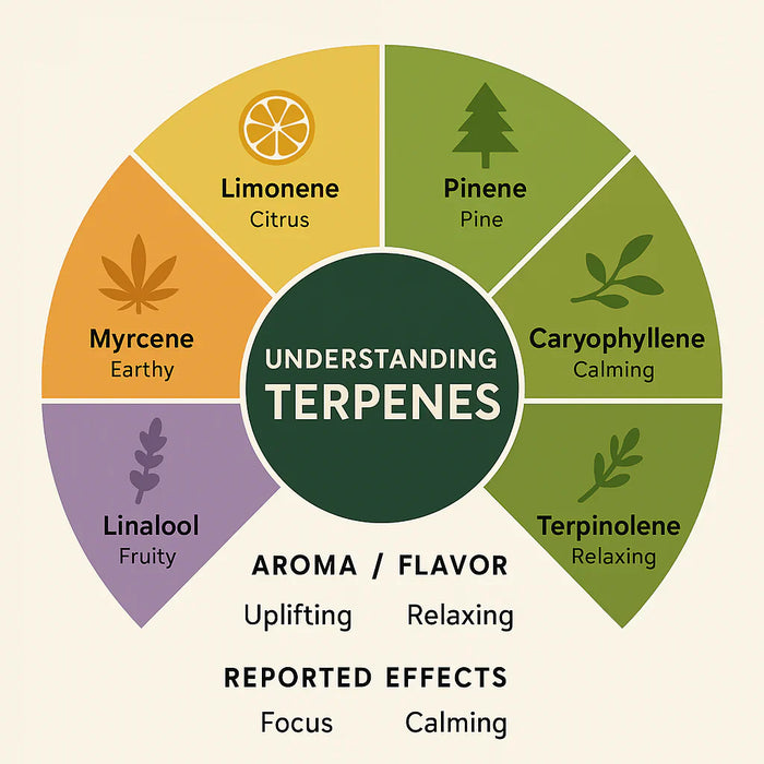 What are terpenes and how will they effect my cannabis experience?